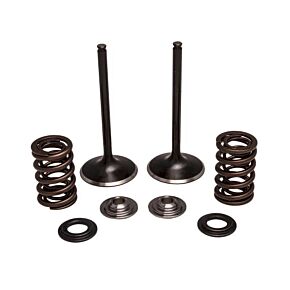 KPMI Intake Valve/spring Kit Stainless Steel