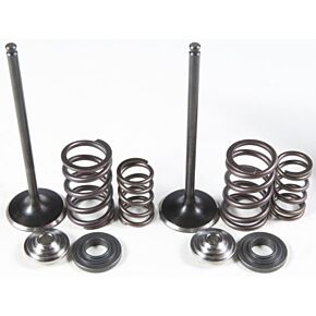 KPMI Intake Valve/spring Kit Stainless Steel