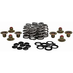 KPMI Racing Valve Spring Kit .625 Lift H.t. Steel Retainer