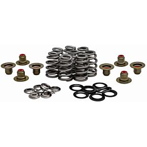 KPMI Racing Valve Spring Kit .625 Lift Titanium Retainers