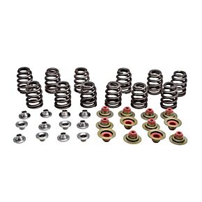 KPMI Racing Valve Spring Kit Beehive