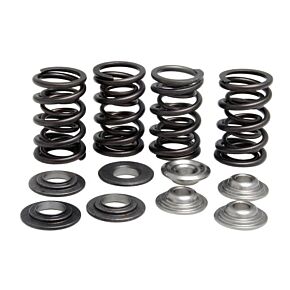 KPMI Racing Valve Spring Kit Lightweight