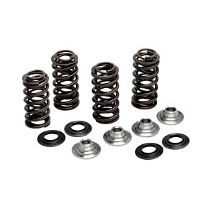 KPMI Racing Valve Spring Kit Yam