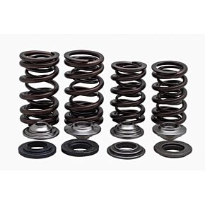 KPMI Racing Valve Spring Kit