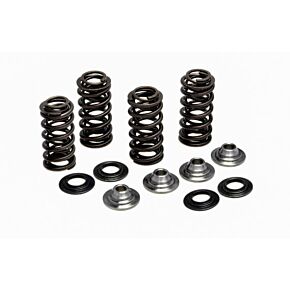 KPMI Racing Valve Spring Kit