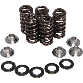 KPMI Racing Valve Spring Kit