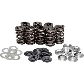 KPMI Racing Valve Spring Kit