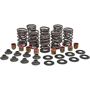 KPMI Racing Valve Spring Kit