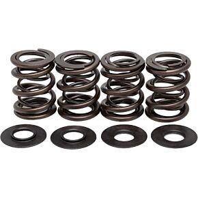 KPMI Racing Valve Spring Kit