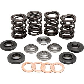 KPMI Racing Valve Spring Kit
