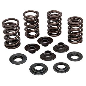 KPMI Racing Valve Spring Kit