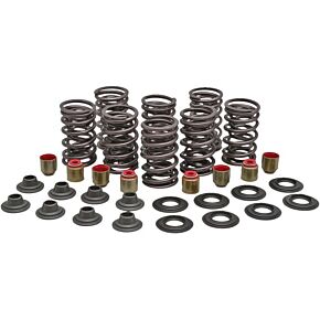 KPMI Racing Valve Spring Kit