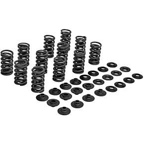 KPMI Racing Valve Spring Kit