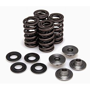 KPMI Racingvalve Spring Kit
