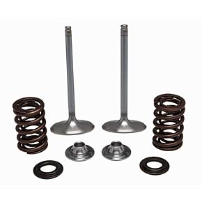 KPMI Ss Intake Valve/spring Kit