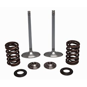 KPMI Ss Intake Valve/spring Kit