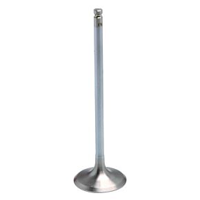 KPMI White Diamond Intake Valve