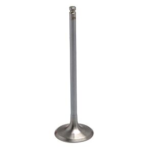 KPMI White Diamond Intake Valve