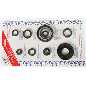 K&S Engine Oil Seal Kit