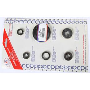 K&S Engine Oil Seal Kit