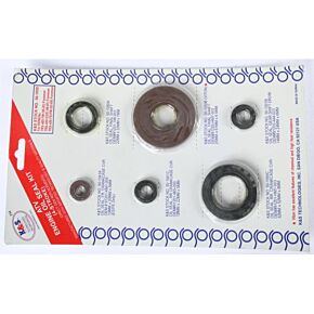K&S Engine Oil Seal Kit