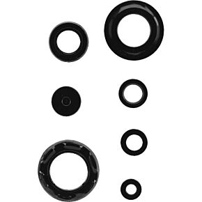 K&S Engine Oil Seal Kit