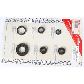 K&S Engine Oil Seal Kit