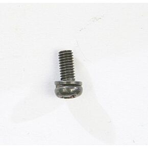 MIKUNI Screw W/washer