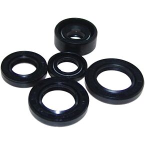 MOGO PARTS Oil Seal Kit