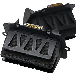 MOTO TASSINARI Vforce3 Reed System