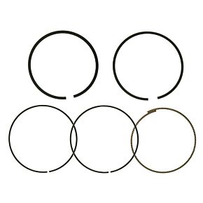 NAMURA Piston Rings 99.44mm Pol For Namura Pistons Only