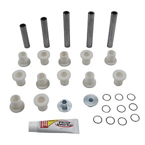 PIVOT WORKS Irs Bearing Kit Pol