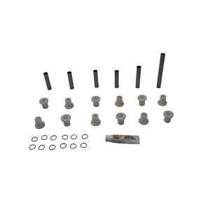 PIVOT WORKS Irs Bearing Kit Pol