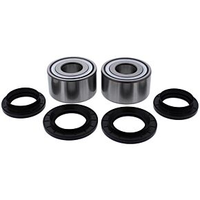 PIVOT WORKS Rear Wheel Bearing Kit Yam