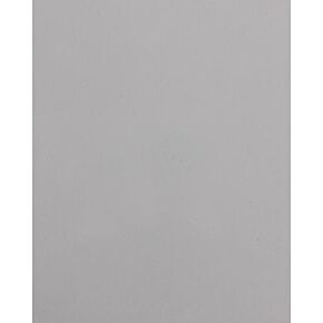 PRO ARMOR Baja Cage W/no Intrusion Ghost Grey