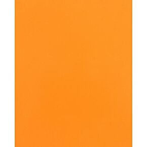 PRO ARMOR Baja Cage W/no Intrusion Orange