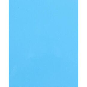PRO ARMOR Cab Asylum Cage W/no Intrusion Sky Blue