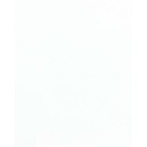 PRO ARMOR Cab Asylum Cage W/no Intrusion White