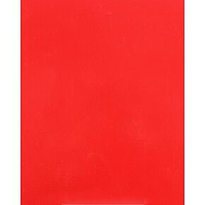 PRO ARMOR Cab Only Cage W/v Intrusion Red