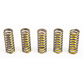 PRO CIRCUIT Clutch Springs