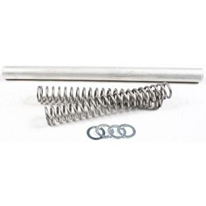 RACE TECH Fork Spring 1.10kg
