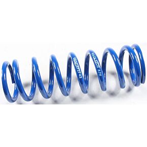 RACE TECH Shock Spring 4.2kg