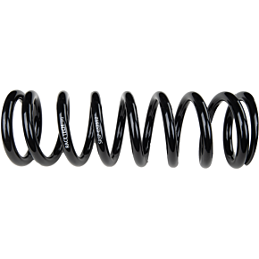RACE TECH Shock Spring 6kg