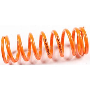RACE TECH Shock Spring