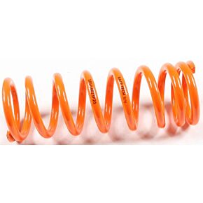 RACE TECH Shock Spring