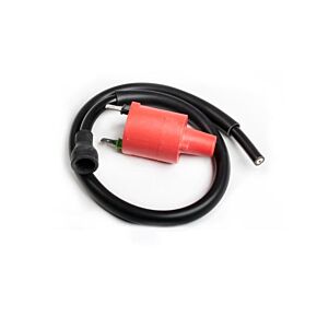 RICKS Ignition Coil