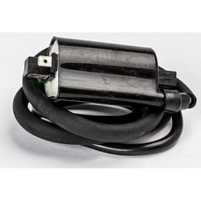 RICKS Ignition Coil