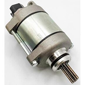 RICKS Starter Motor