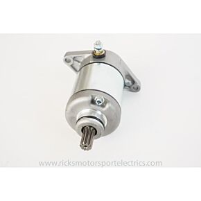 RICKS Starter Motor