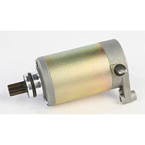 RICKS Starter Motor